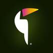 Toucan Agency logo