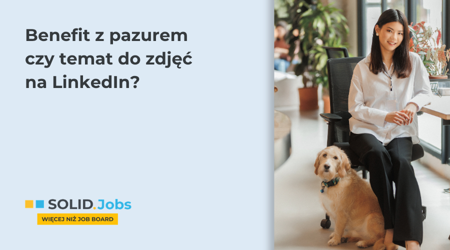 Czy zwierzęta w pracy to faktycznie benefit? Plusy, minusy i prawda o pet friendly office